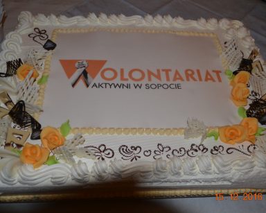 wolontariat 2016