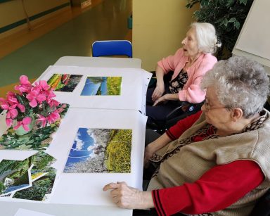 Przy stole siedzą dwie seniorki. Przed nimi na blacie leżą ułożone obrazki. Na obrazkach widać różne pejzaże: ogród z kolorowymi kwiatami, łąkę przy jeziorze, sad z drzewami o białych kwiatach