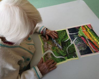 Przy stole siedzi seniorka. Układa obrazek z pociętych elementów. To pejzaż, który przedstawia zielony las i płynący strumyk. Obok widać ułożony obrazek z rzędami kolorowych kwiatów