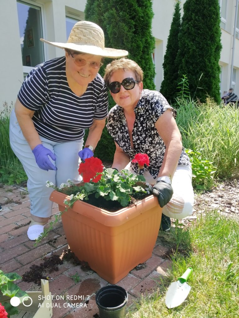 Patio przed budynkiem. Seniorka i kierowniczka Mariola Ludwicka sadzą w donicy czerwone pelargonie.