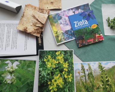 Na stole rozłożone zdjęcia z roślinami, świeże gałązki mięty, kawałki kory brzozy, książka z napisem 