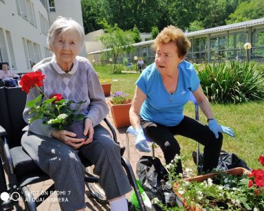 Dwie seniorki sadzą kwiaty. Przed nimi donica. W tle inni mieszkańcy odpoczywają w ogrodzie.