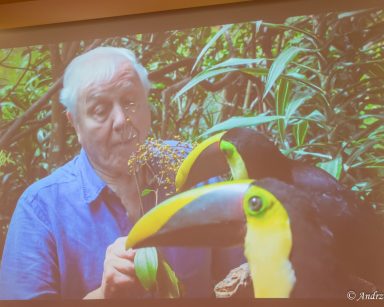 Na ekranie projektora kadr z filmu przyrodniczego. W tropikalnym lesie mężczyzna. Obok niego kolorowe ptaki.
