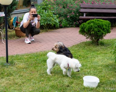 Na trawniku dwa psy Dafi i Mitsu. W dalszej części ogrodu fizjoterapeutka Magdalena Poraj-Górska. Robi zdjęcie psom.