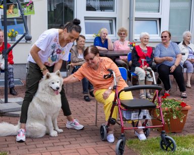 Terapeutka Magdalena Poraj-Górska trzyma psa za obrożę. Seniorka wyciąga rękę, by go pogłaskać. W tle na patio inni seniorzy.