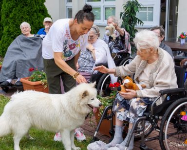 Terapeutka Magdalena Poraj Górska prowadzi psa Capri do seniorów na patio. Seniorka wyciąga rękę, by go pogłaskać.