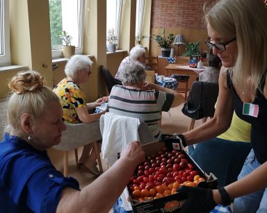 Seniorzy się w sali przy stolikach. Kierowniczka Ilona Gajewska podchodzi i częstuje ich pomidorkami.