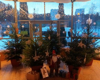 W ogrodzie zimowym choinki, ozdoby, figurka Mikołaja, paczki z prezentami. Okna udekorowane światełkami. Na zewnątrz półmrok.