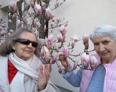 Ogród. Przy magnolii z różowymi kwiatami pozują dwie seniorki. Uśmiechają się.