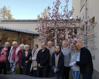 Słoneczny dzień. Przy magnolii z różowymi kwiatami pozuje grupa seniorów. Śmieją się.