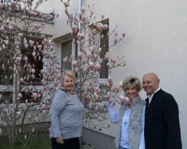 Słoneczny dzień. Przy magnolii z różowymi kwiatami pozują dwie seniorki i senior. Uśmiechają się.