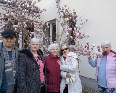 Słoneczny dzień. Przy magnolii z różowymi kwiatami pozuje pięć seniorek i senior. Uśmiechają się.