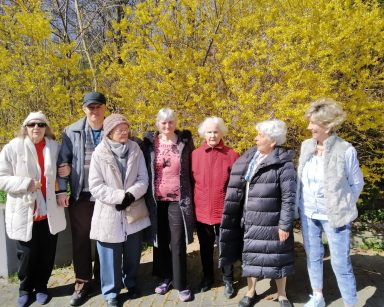 Słoneczny dzień. Grupa seniorów stoi przy kwitnącym krzewie. Mają porozpinane kurtki.