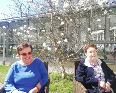 Ogród. Słoneczny dzień. Na fotelach siedzą dwie seniorki. Śmieją się. Za nimi drzewo z białymi kwiatami.