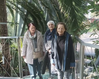 Palmiarnia w Gdańsku. Trzy seniorki pozują do zdjęcia przy egzotycznych roślinach.