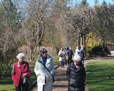 Słoneczny dzień. Seniorzy spacerują po Parku Oliwskim.