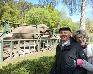 Pogodny dzień. Gdańskie ZOO. Senior i seniorka śmieją się. Za nimi, na wybiegu słoń.