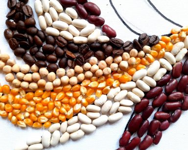 Fragment obrazu wyklejanego z nasion. Ułożone kawa, fasola, kukurydza, groch.