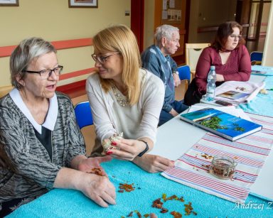 Zajęcia. Dyrektor Agnieszka Cysewska, pracownicy i seniorzy siedzą przy stole. Układają wzory z bursztynów i muszelek.