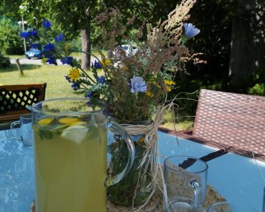 Na świeżym powietrzu przy drzewie stół. Na blacie dzbanek z lemoniadą, szklanki, wazon z bukietem polnych kwiatów.
