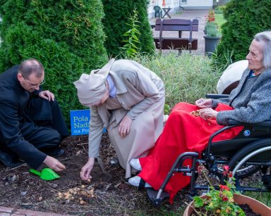 Ogród. Proboszcz Tomasz Kosewski i siostra Maria Luiza sadzą żonkile. Obok seniorka na wózku inwalidzkim.