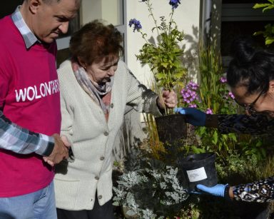 Pogodny dzień. Ogród. Terapeutka Magdalena Poraj-Górska, wolontariusz i seniorka przesadzają kwiaty.