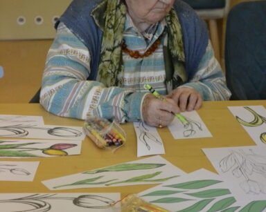 Zbliżenie. Seniorka siedzi przy stole i koloruje zieloną kredką kwiaty. Na stole rysunki tulipanów, kredki.