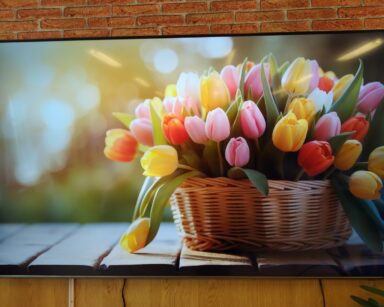 Zbliżenie. Na ścianie wisi telewizor, na ekranie bukiet kolorowych tulipanów w plecionym koszu.
