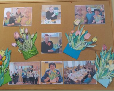 Zbliżenie. Tablica. Na niej zdjęcia seniorów z kwiatami. Pomiędzy zdjęciami wycięte i pomalowane tulipany w kopertach.