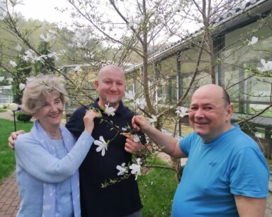 Ogród. Zbliżenie. Trzy osoby przy drzewie magnolii. Dotykają białych kwiatów drzewa.