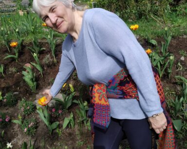 Zbliżenie. Seniorka pozuje do zdjęcia. Ubrana w niebieski sweter i ciemne spodnie. Seniorka wskazuje na żółty tulipan.