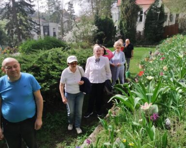 Zbliżenie. Grupa seniorów spaceruje po ogrodzie. Obok krzewy jałowca i rabata z tulipanów. W tle krzewy, drzewa, trawnik.