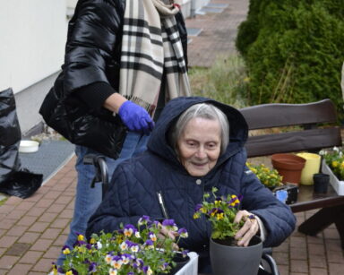 Zbliżenie. Ogród. Seniorka wsadza do doniczki bratki, obok w skrzyneczce stoi więcej kwiatów. W tle kobieta uśmiecha się.