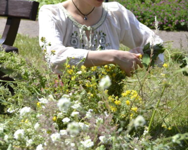 Zbliżenie. Młoda dziewczyna w jasnej koszuli z motywem ludowym siedzi wśród kwiatów i traw. Dziewczyna plecie wianek.