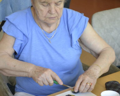 Zbliżenie. Seniorka w niebieskiej bluzce siedzi przy stole i kroi na desce śliwki. Obok talerzy z pestkami po śliwkach.