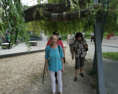 Park. Trzech seniorów przechodzi ścieżką pod zwisającymi gałęziami wierzby. W tle drewniane elementy wyposażenia parku.