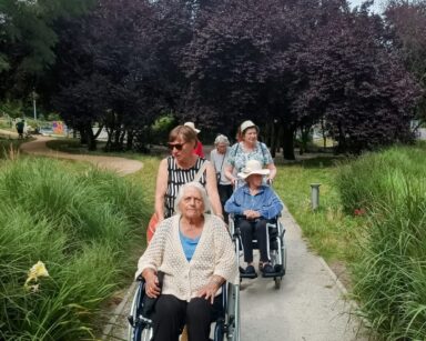 Park. Kwiaty, trawy ozdobne, ścieżką przemieszcza się grupa seniorek. W tle drzewo o purpurowych liściach.