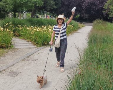 Park. Kolorowe drzewa, trawy ozdobne, liliowce. Na drodze stoi seniorka w kapeluszu. W ręku trzyma smycz, przed nią pies.