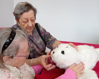 Foka Paro jak zwykle skuteczna