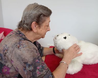 Foka Paro jak zwykle skuteczna