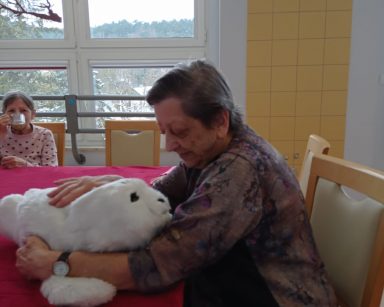 Foka Paro jak zwykle skuteczna