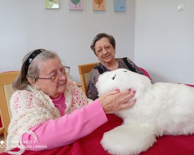 Foka Paro jak zwykle skuteczna