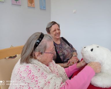 Foka Paro jak zwykle skuteczna