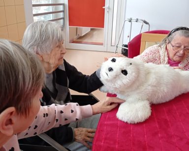 Foka Paro jak zwykle skuteczna