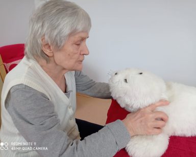 Foka Paro jak zwykle skuteczna