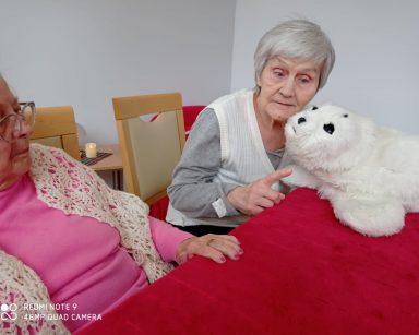 Foka Paro jak zwykle skuteczna