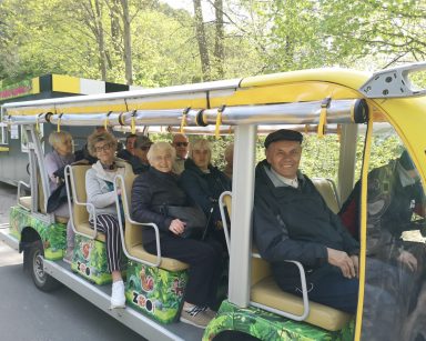 Pogodny dzień. Gdańskie ZOO. Seniorzy jadą busem, zwiedzają.