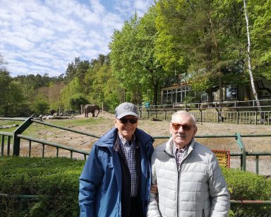 Pogodny dzień. Gdańskie ZOO. Dwaj seniorzy stoją uśmiechnięci. Na wybiegu słoń.