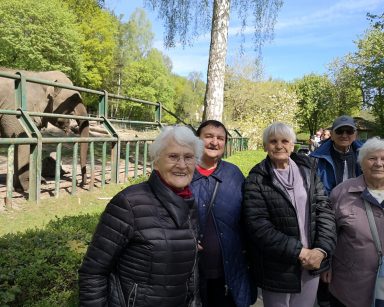 Pogodny dzień. Gdańskie ZOO. Grupa seniorów pozuje do zdjęcia przy wybiegu. Na wybiegu słoń.